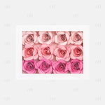 Pink Ombre Full Frame Flower Box