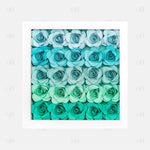 Ombre Baby Stat Flower Box