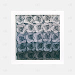 Ombre Baby Stat Flower Box